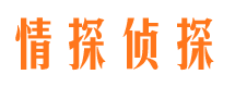 安源市调查公司